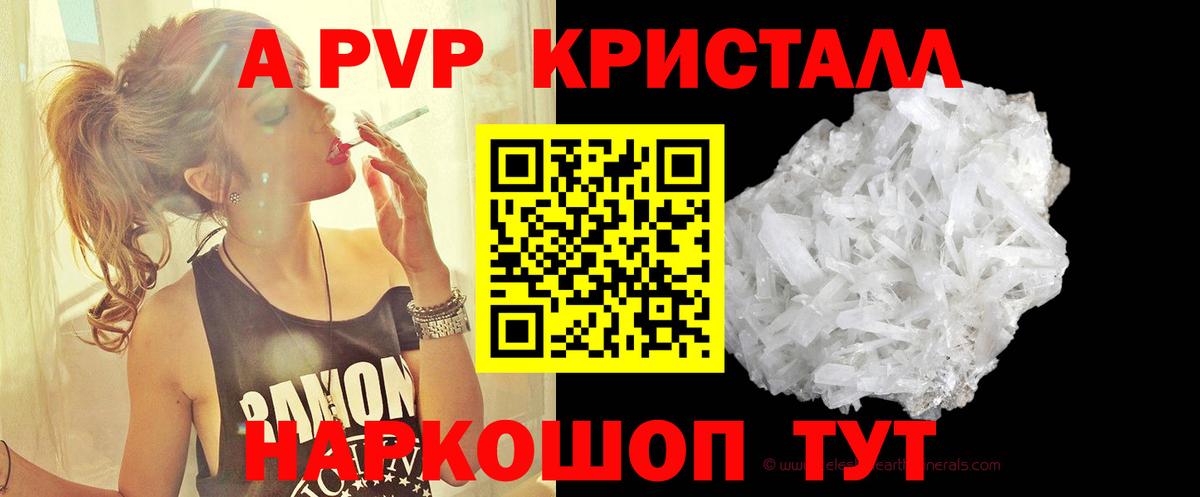 A PVP СК КРИС Калач-на-Дону