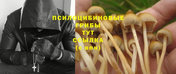 MDMA Заводоуковск