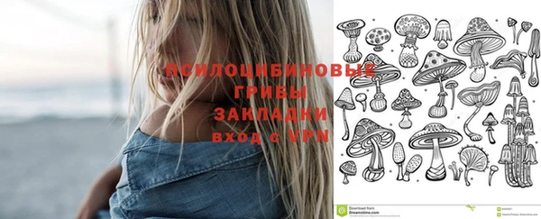 кокс Елизово