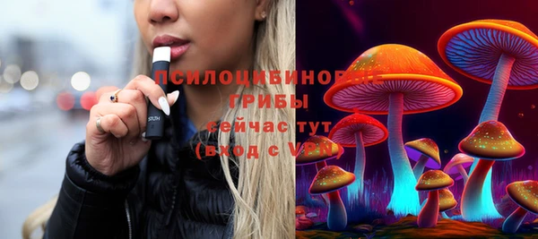 прущая мука Козловка