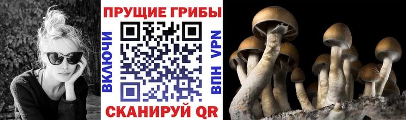 KRAKEN зеркало  Калач-на-Дону  Галлюциногенные грибы ЛСД 