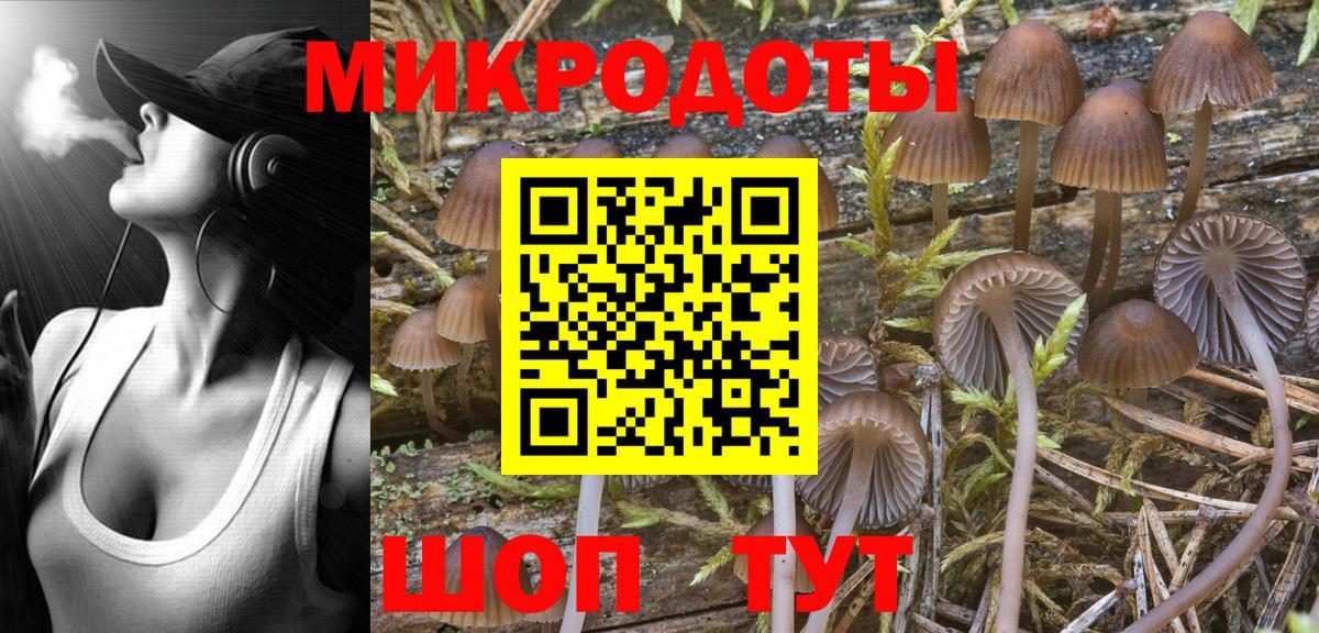 Псилоцибиновые грибы Magic Shrooms  Вход с VPN  Калач-на-Дону  Псилоцибиновые грибы ЛСД 