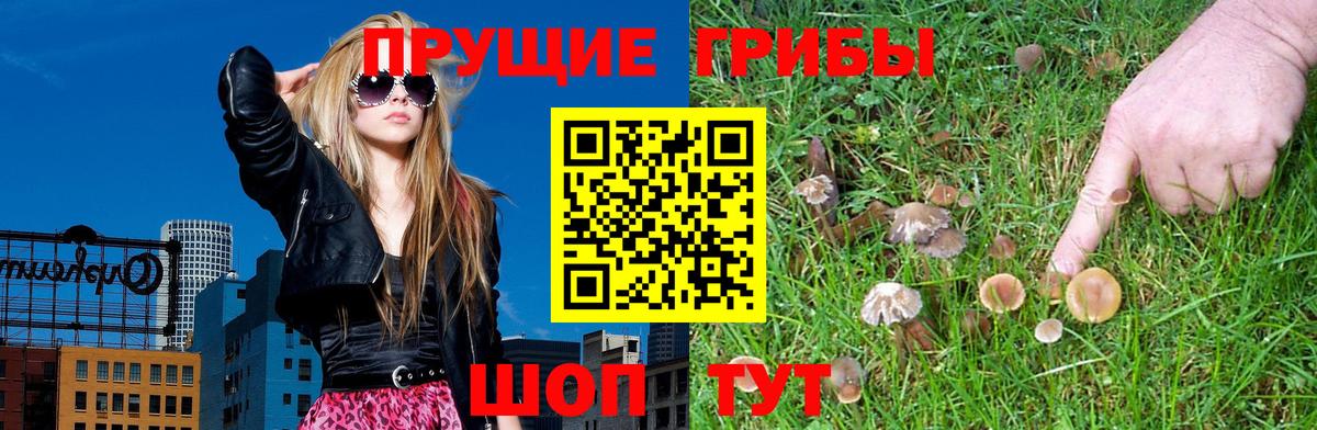 Галлюциногенные грибы Magic Shrooms  Галлюциногенные грибы мухоморы  Калач-на-Дону 